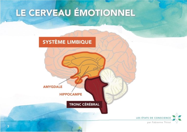 Les croyances Ma Vie Nature Le Bienêtre au quotidien